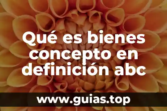 Abc es que es 8 Qué es bienes concepto en definición abc