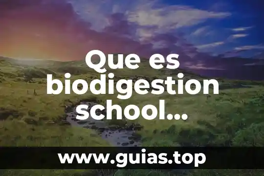 Que es clarificacion articulos 7 Que es biodigestion school articulos