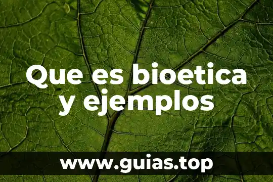 Que es analogia tipos y ejemplos 4 Que es bioetica y ejemplos
