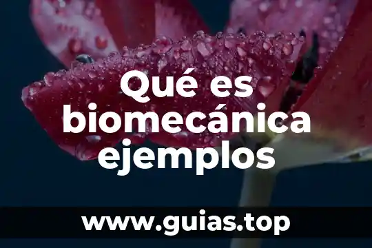 Ejemplos de lo que es la razonamiento 6 Qué es biomecánica ejemplos