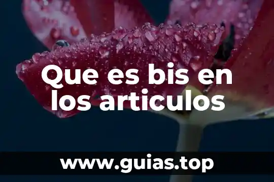 Que es clarificacion articulos 6 Que es bis en los articulos