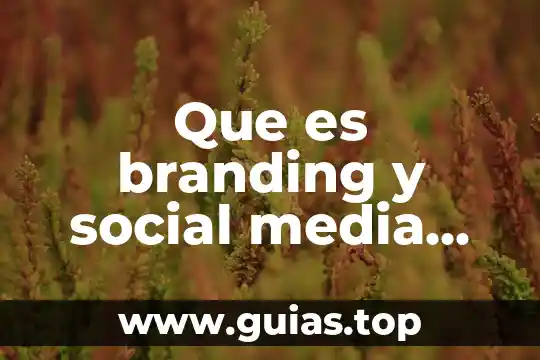¿Qué es Media Center Tunder TV? 3 Que es branding y social media workshop