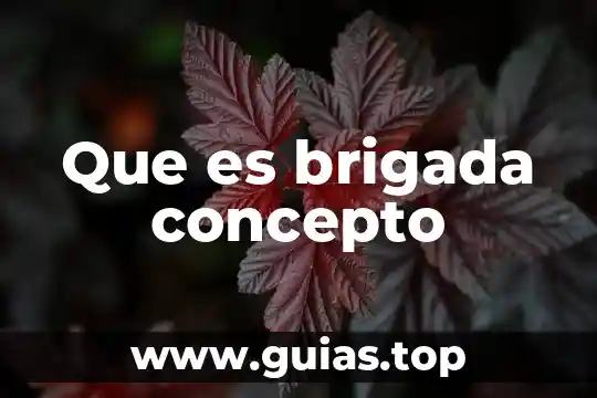 Que es un epp concepto 7 Que es brigada concepto