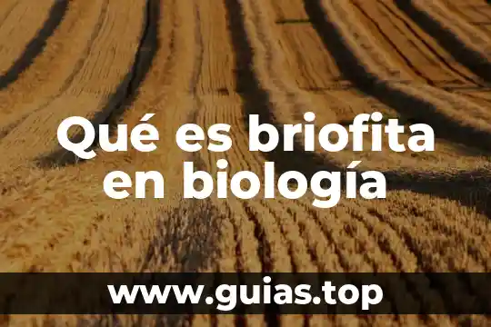 Que es el nombre comun biologia 7 Qué es briofita en biología