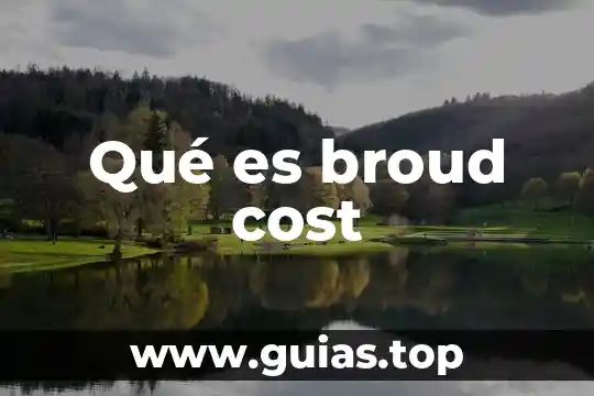 Qué es el fenómeno low cost 3 Qué es broud cost