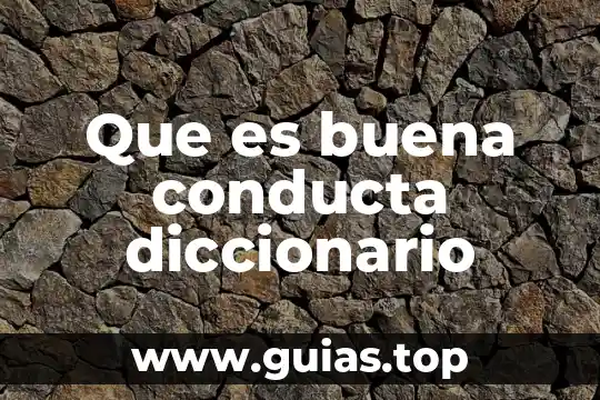 Que es blondas diccionario 6 Que es buena conducta diccionario