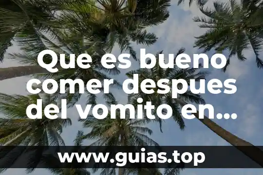 Qué es lo mejor de comer después de donar sangre 4 Que es bueno comer despues del vomito en niños