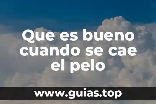 Qué es el agua saludable 4 Que es bueno cuando se cae el pelo