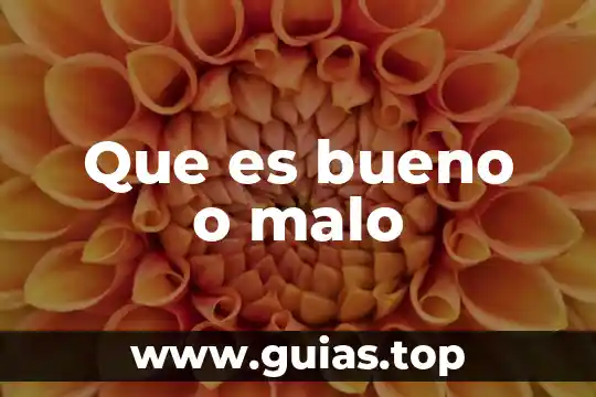 Moral saber que es bueno o malo 6 Que es bueno o malo