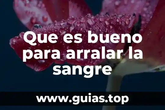 Qué es un proyectos formativos 4 Que es bueno para arralar la sangre