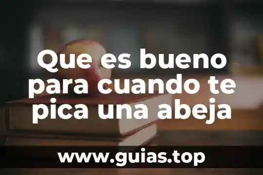 Que es te meto mi webo por sonso 4 Que es bueno para cuando te pica una abeja