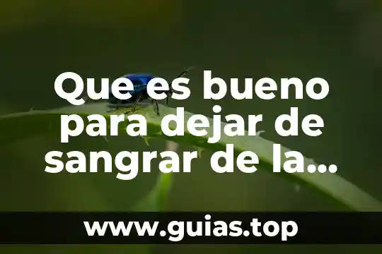 Que es mejor dejar agua con etiqueta o no 4 Que es bueno para dejar de sangrar de la nariz