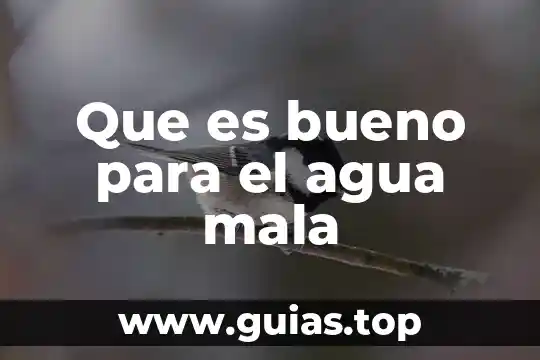 Que es bueno para el agua mala