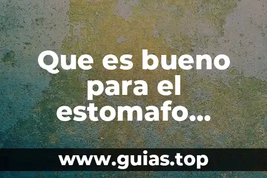 Que es bueno para recuperar el sueño 6 Que es bueno para el estomafo suelto