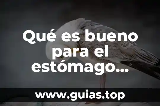 Que es bueno para destemplar los dientes 7 Qué es bueno para el estómago inflamado y con irritación