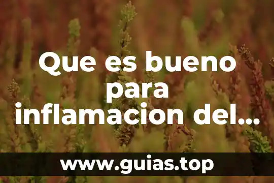 Que es la enfermedad de el higado 3 Que es bueno para inflamacion del higado