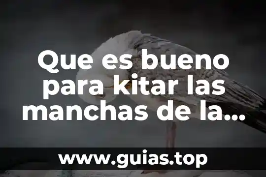 Que es bueno para la cara seca 3 Que es bueno para kitar las manchas de la cara