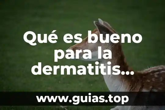 Para que es bueno el melon de agua 8 Qué es bueno para la dermatitis alguna pomada
