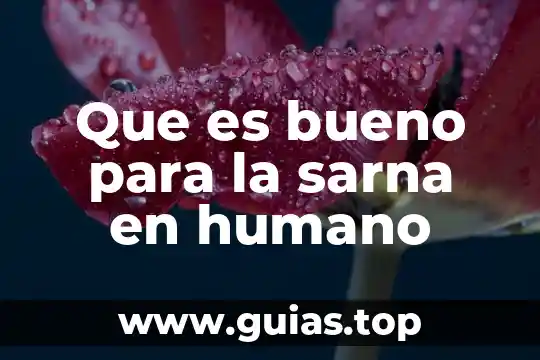 Que es bueno para recuperar el sueño 7 Que es bueno para la sarna en humano