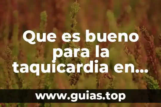 En que mes del embarazo puedo saber que es 7 Que es bueno para la taquicardia en el embarazo