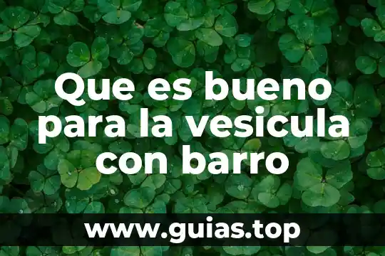 Que es lo bueno en filosofía 4 Que es bueno para la vesicula con barro