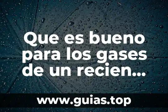Qué es el BIOS en una computadora 4 Que es bueno para los gases de un recien nacido