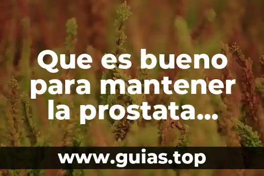 Que es lo que sana la planta del romero 7 Que es bueno para mantener la prostata sana