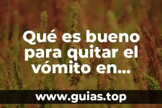 Que es bueno para quitar el sueño despues del almuerzo 4 Qué es bueno para quitar el vómito en niños