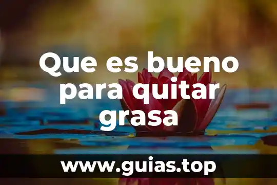 Por que es importante la grasa en el embarazo 7 Que es bueno para quitar grasa