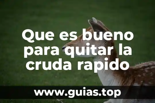 Que es bueno para quitar el sueño despues del almuerzo 7 Que es bueno para quitar la cruda rapido