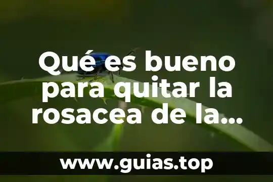 Que es bueno para quitar el sueño despues del almuerzo 8 Qué es bueno para quitar la rosacea de la cara