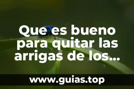 Qué es número de línea en ojos 6 Que es bueno para quitar las arrigas de los ojos
