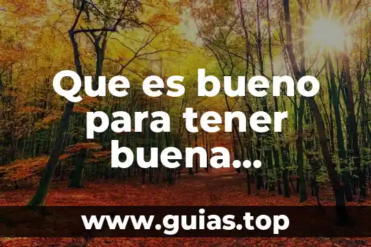 Que es tener buena conciencia 7 Que es bueno para tener buena circulacion