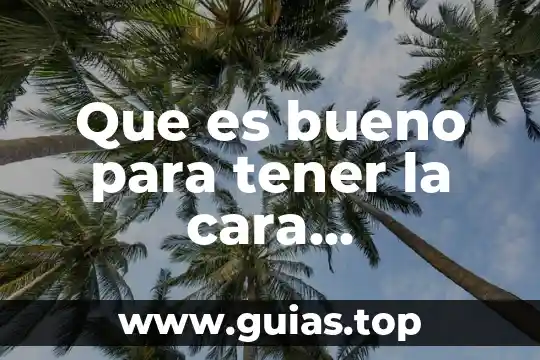 Que es bueno para la cara seca 4 Que es bueno para tener la cara blancacomocoreanos