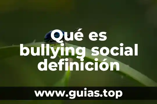 Que es un canon de belleza definicion 8 Qué es bullying social definición