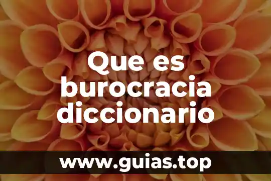 Que es blondas diccionario 5 Que es burocracia diccionario