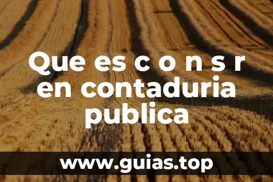 Que es c ldl 4 Que es c o n s r en contaduria publica