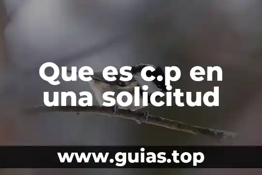 Solicitud información que es 7 Que es c.p en una solicitud