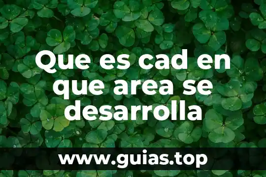 Qué es área para el principio de Pascal 6 Que es cad en que area se desarrolla