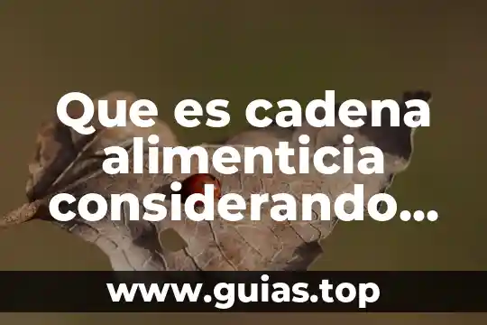 Que es una cadena trofica yahoo 7 Que es cadena alimenticia considerando como parte esencial al sol