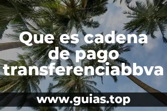 Que es cadena alimenticia considerando como parte esencial al sol 4 Que es cadena de pago transferenciabbva