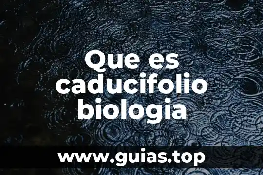 Que es el filtro de agua de biologia 3 Que es caducifolio biologia