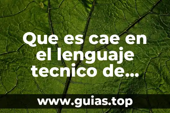 Qué es talento técnico definición 6 Que es cae en el lenguaje tecnico de otorrinos