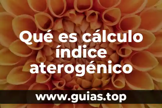 Qué es el índice de peróxidos en física 6 Qué es cálculo índice aterogénico