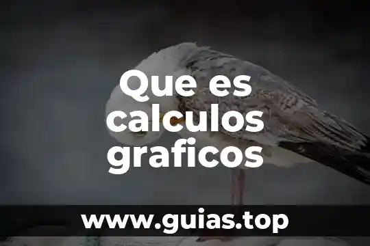 Que es calculos indicados 5 Que es calculos graficos