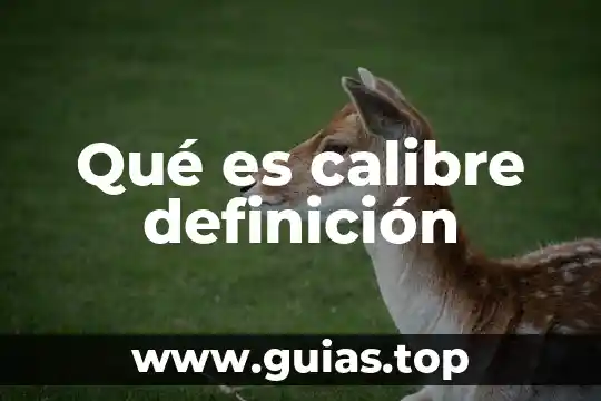 Que es memoria caché definicion 3 Qué es calibre definición
