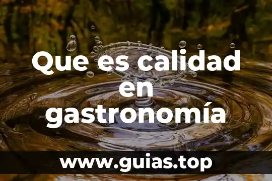 Que es la unidad de medida sol en gastronomia 4 Que es calidad en gastronomía