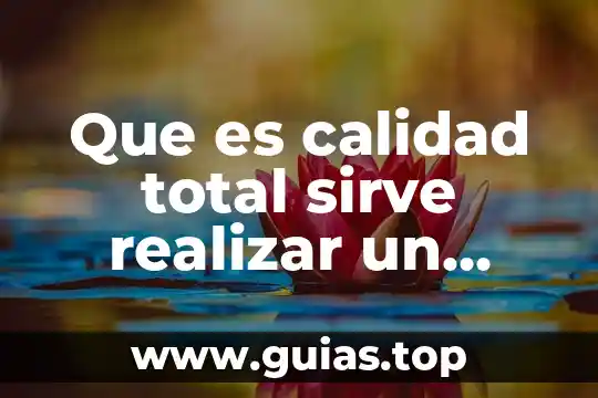 Qué es lógica matemática y para qué sirve 3 Que es calidad total sirve realizar un estudio de campo
