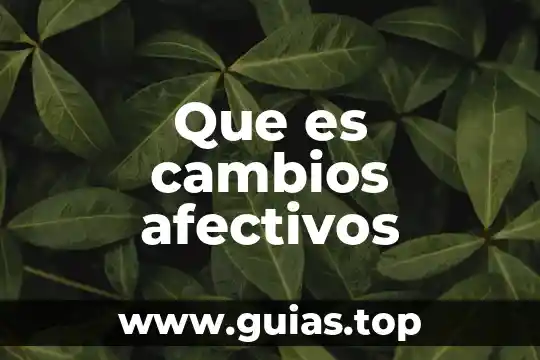 Que es cambios en la sociedad 4 Que es cambios afectivos