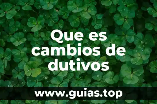 Qué es alpargatas concepto 7 Que es cambios de dutivos